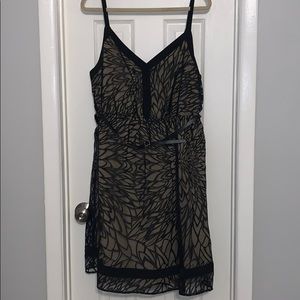 Lane Bryant black tan tulle belted dress 18/20